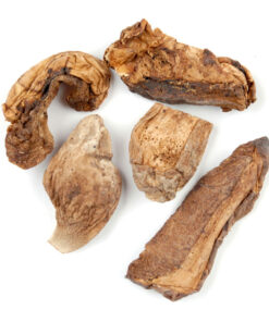 Buy Dried B+ Mushroom Australia