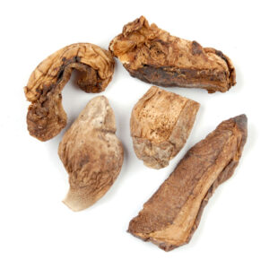 Buy Dried B+ Mushroom Australia